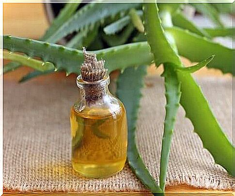 Natural remedies based on aloe vera or olive oil strengthen the hair roots.