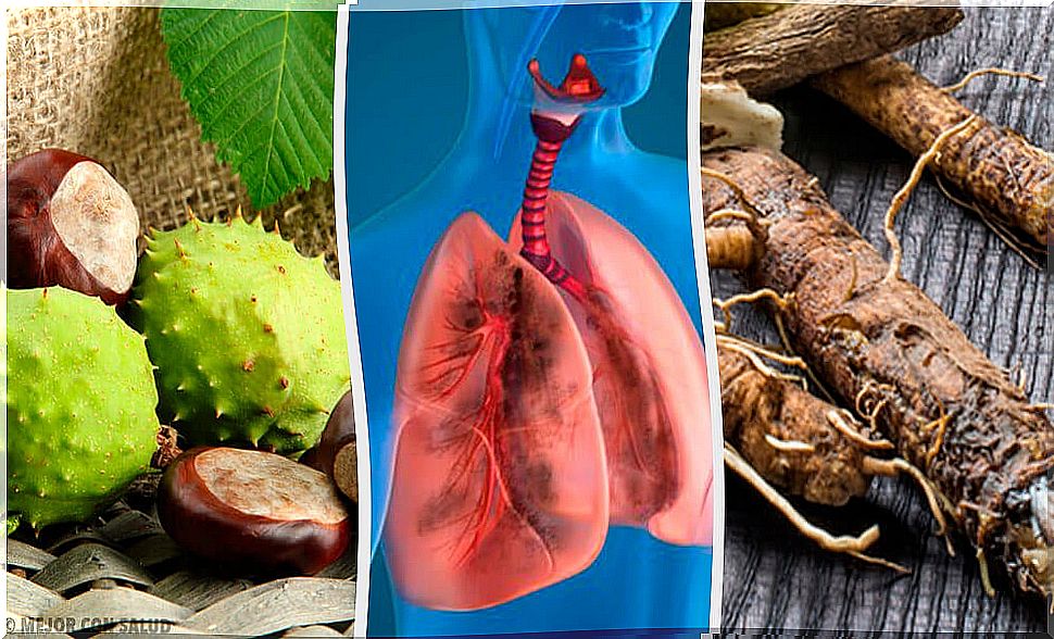 Healthy Lungs - 4 Natural Remedies