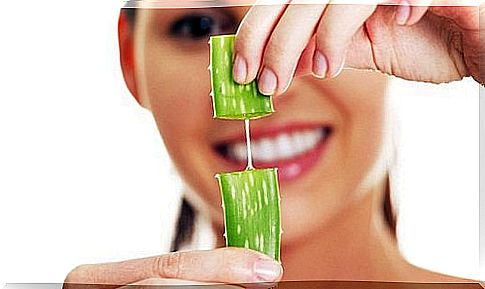 Fresh aloe vera for skin care