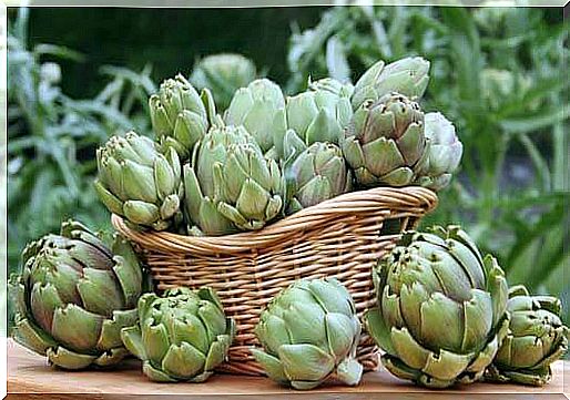 Artichokes in the basket