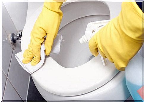 Cleaning the toilet