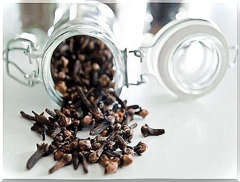 Cloves for digestive problems - how to use them