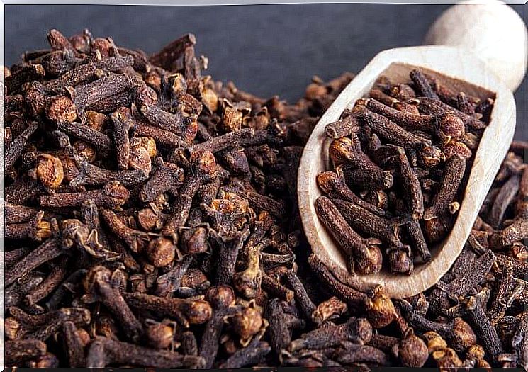 cloves for digestive problems