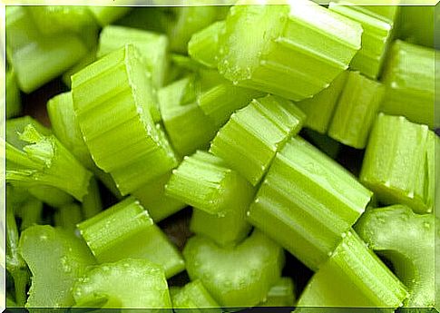 Celery