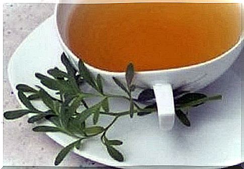 Herbs for tarnished nerves - 9 infusions