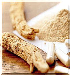 Ginseng root