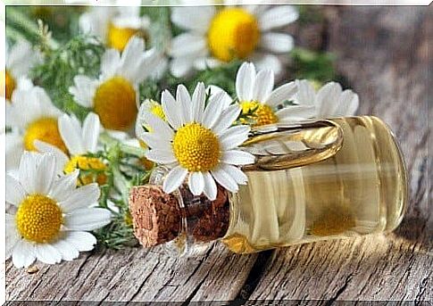 Chamomile is a guaranteed relief for the feet.