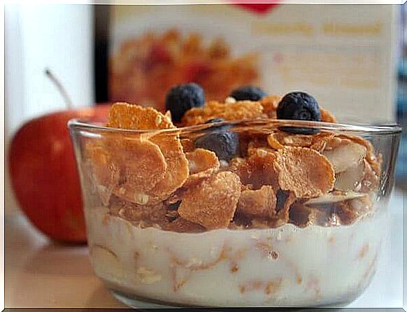 yoghurt and cereals are a healthy breakfast for children