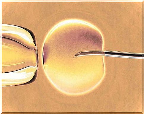 In vitro fertilization: do you know what it is?