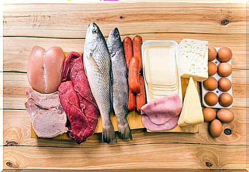 increase muscle mass protein fish meat