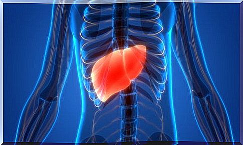 Liver - causes and effects of failure