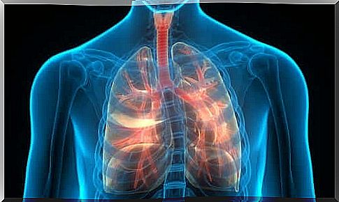 Lung transplant - all you need to know