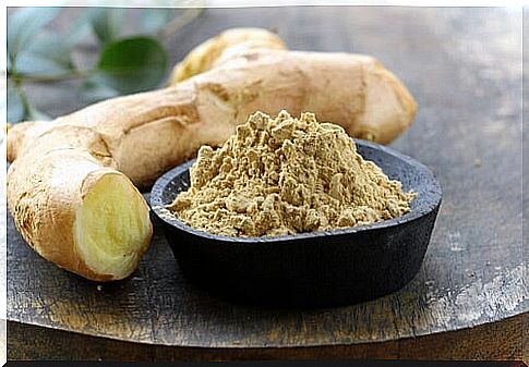 Ginger is one of the most popular medicinal plants.