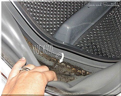 Mold in the washing machine - remove it efficiently!