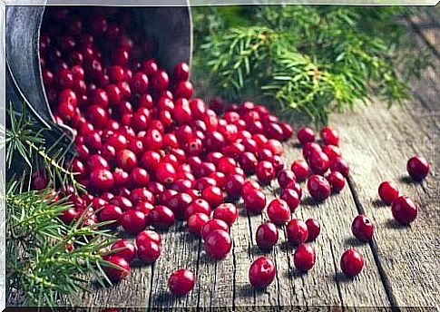 Cranberry for phlebitis.