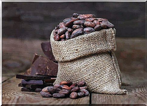 Cocoa beans