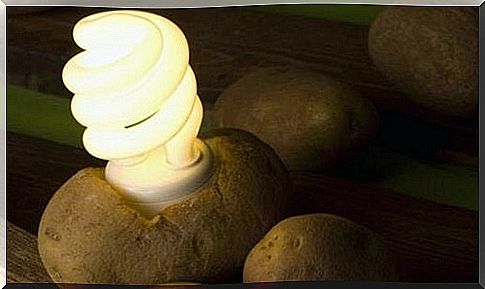 Potato - how to make a lamp out of it?