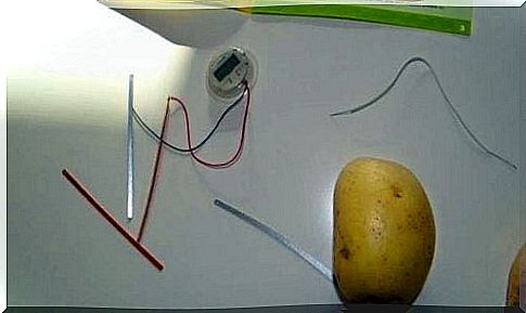 electricity from the potato