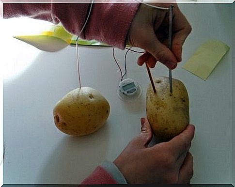 electricity from potato 2