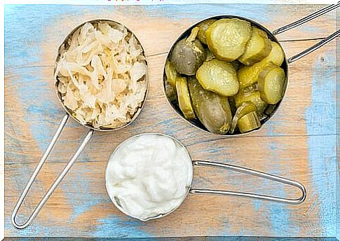 natural pickled probiotics and yogurt