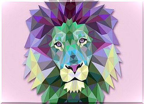 Colorful lion head.  resignation