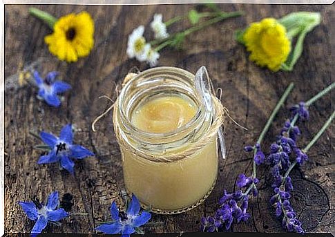 Royal jelly: discover the 6 benefits and properties