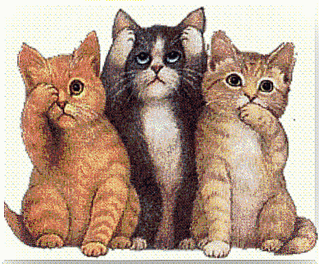 Three cats