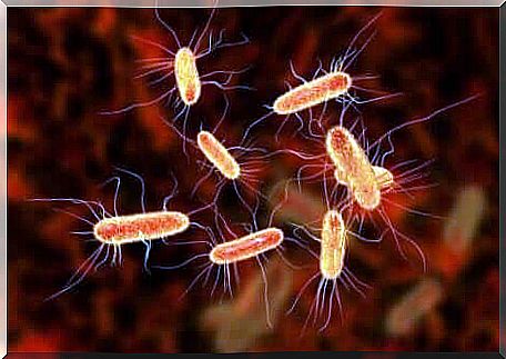 Bacterial infections