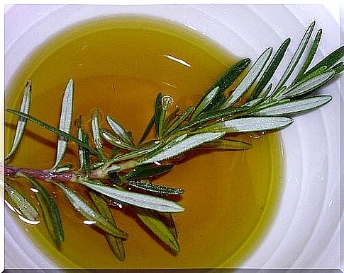 Infusion of rosemary