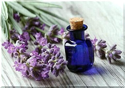 Lavender for sleep