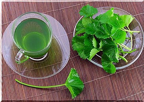 Parsley juice