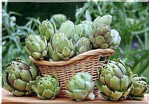 Artichokes