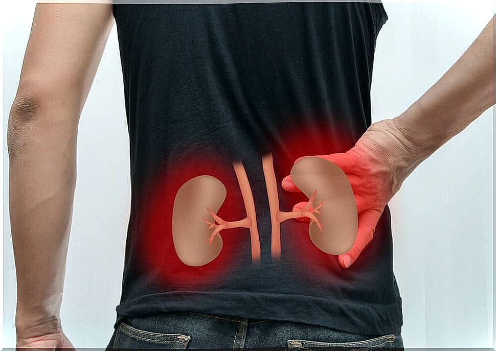 Kidney detoxification - natural home remedies