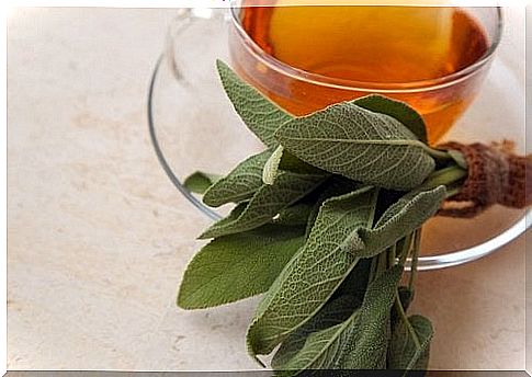 sage for mouth ulcers