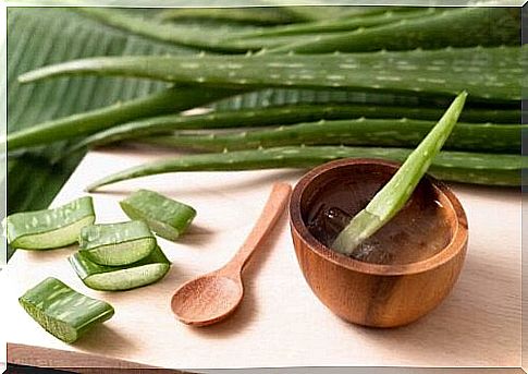 Aloe gel for wasp sting