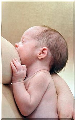 A newborn baby is breastfed