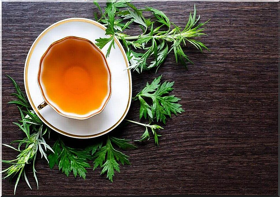 Wormwood - leaves and tea.